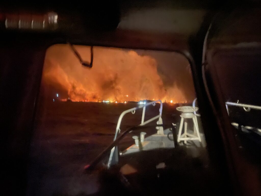 Smartphone screen shows viral laser wildfire claim while actual flames rage behind power lines in Los Angeles.