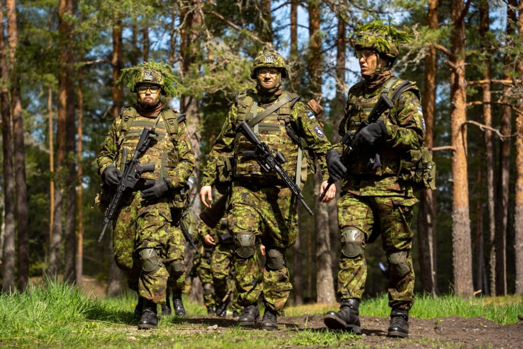 Estonian Defence Forces