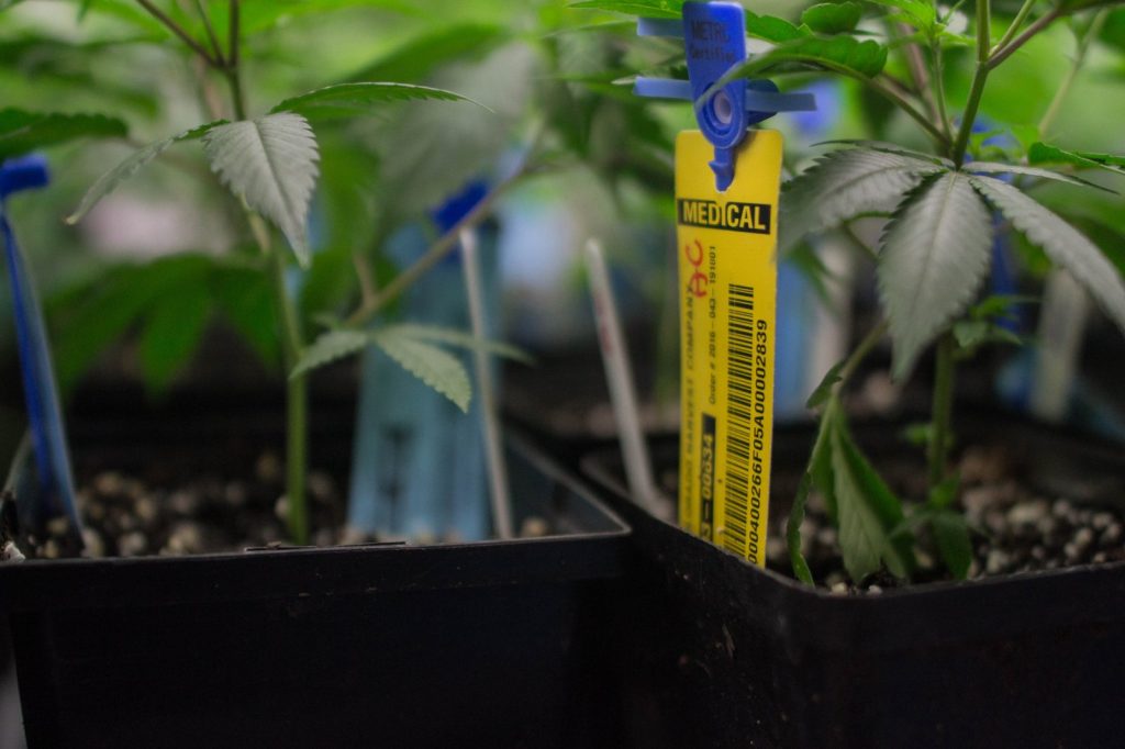 Tilray Medical and Lyphe Clinic partnership targets veteran cannabis access barrier