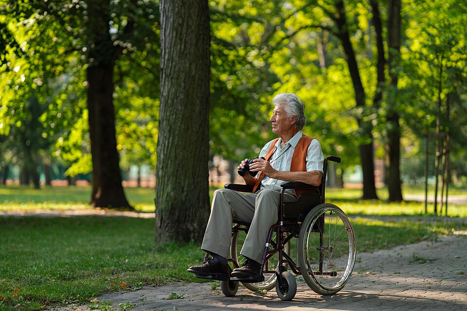 Elderly Person Using A Wheelchair