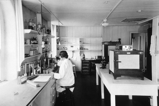 UFOs: NASA’s Stance on Alien Technology and Unidentified Phenomena Scientist Working In A Research Laboratory