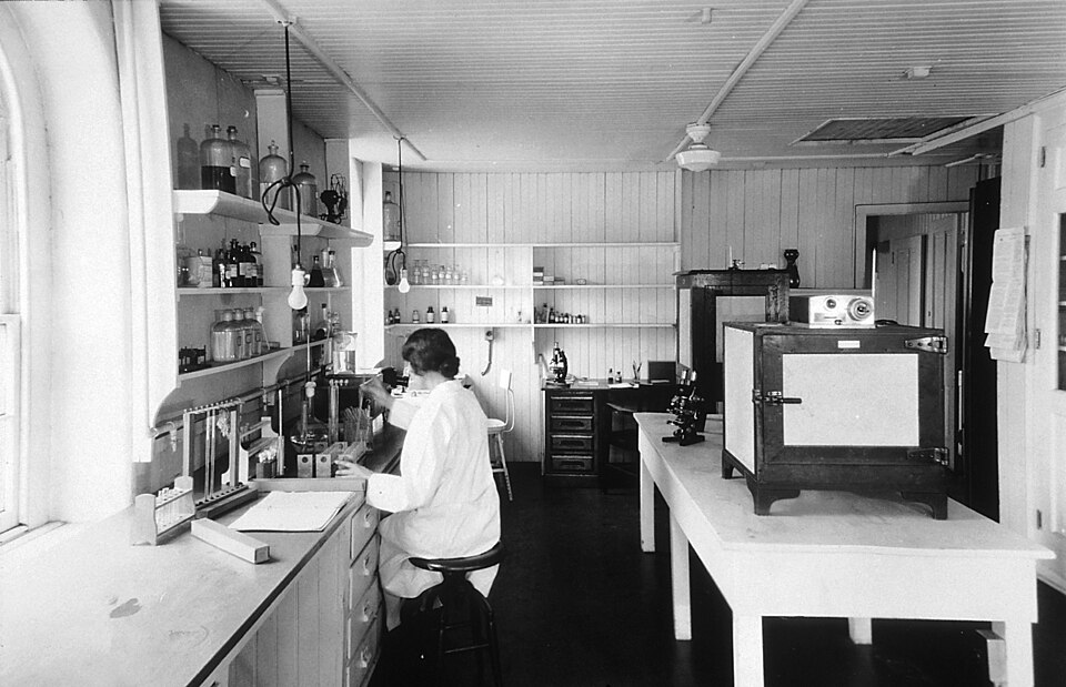 Scientist Working In A Research Laboratory